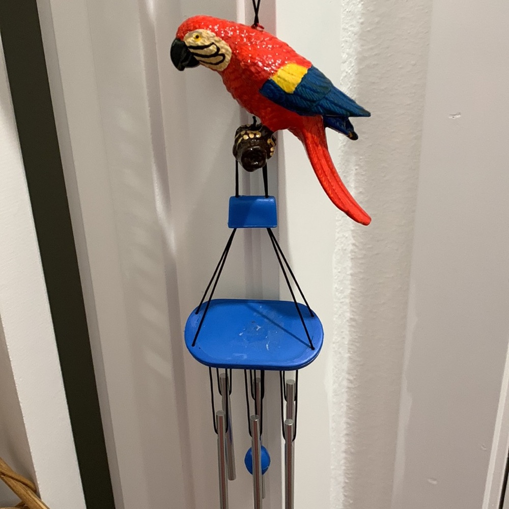 Parrots 🦜 - Picture 8 of 11